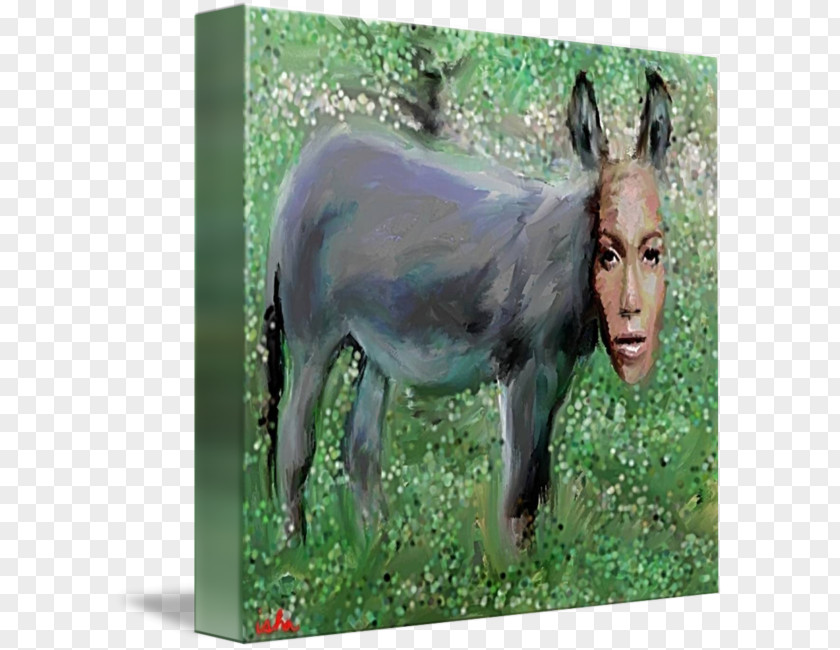 Jennifer Lopez Mare Donkey Pack Animal Pasture PNG