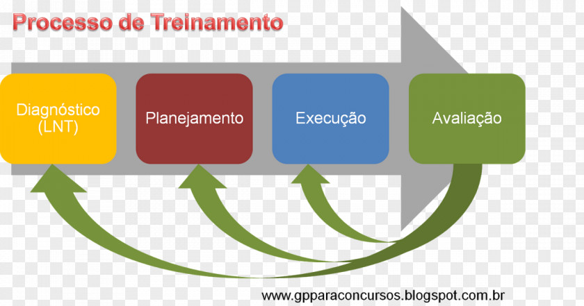 Logo Organization Human Resource Management Processo PNG