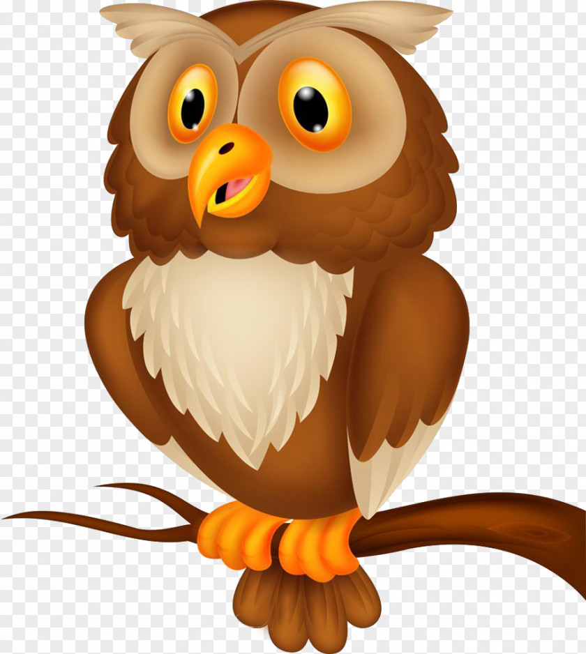 Owl Cartoon Royalty-free Illustration PNG