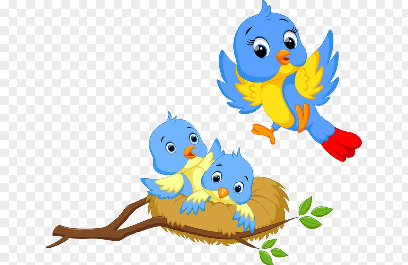 Perching Bird Bluebird Cartoon PNG