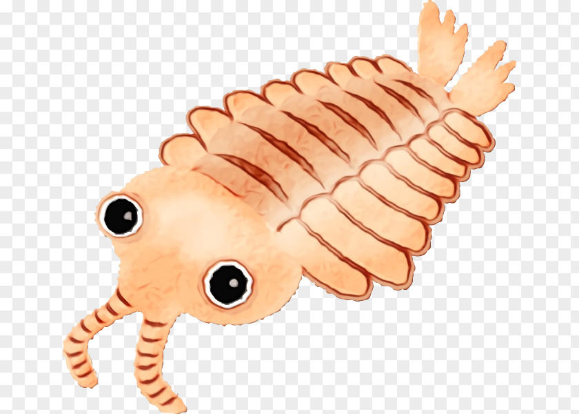 Animal Figure Insect Caterpillar Centipede PNG