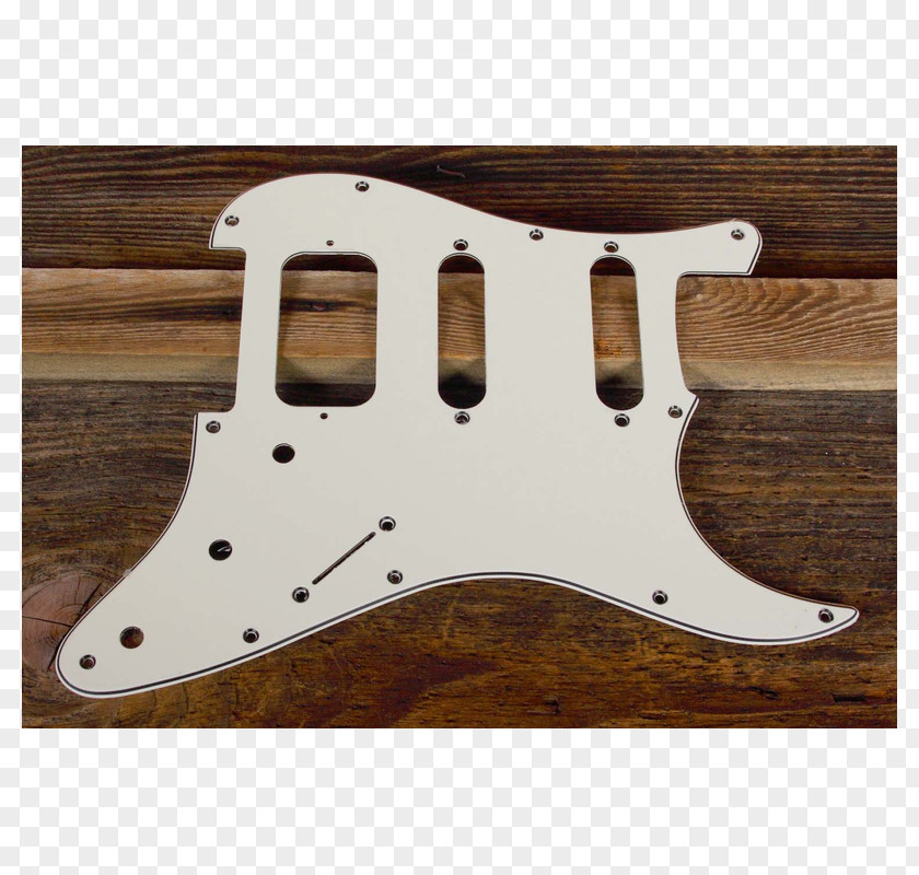 Guardrail Style Electric Guitar Pickguard Autograph Nirvana PNG