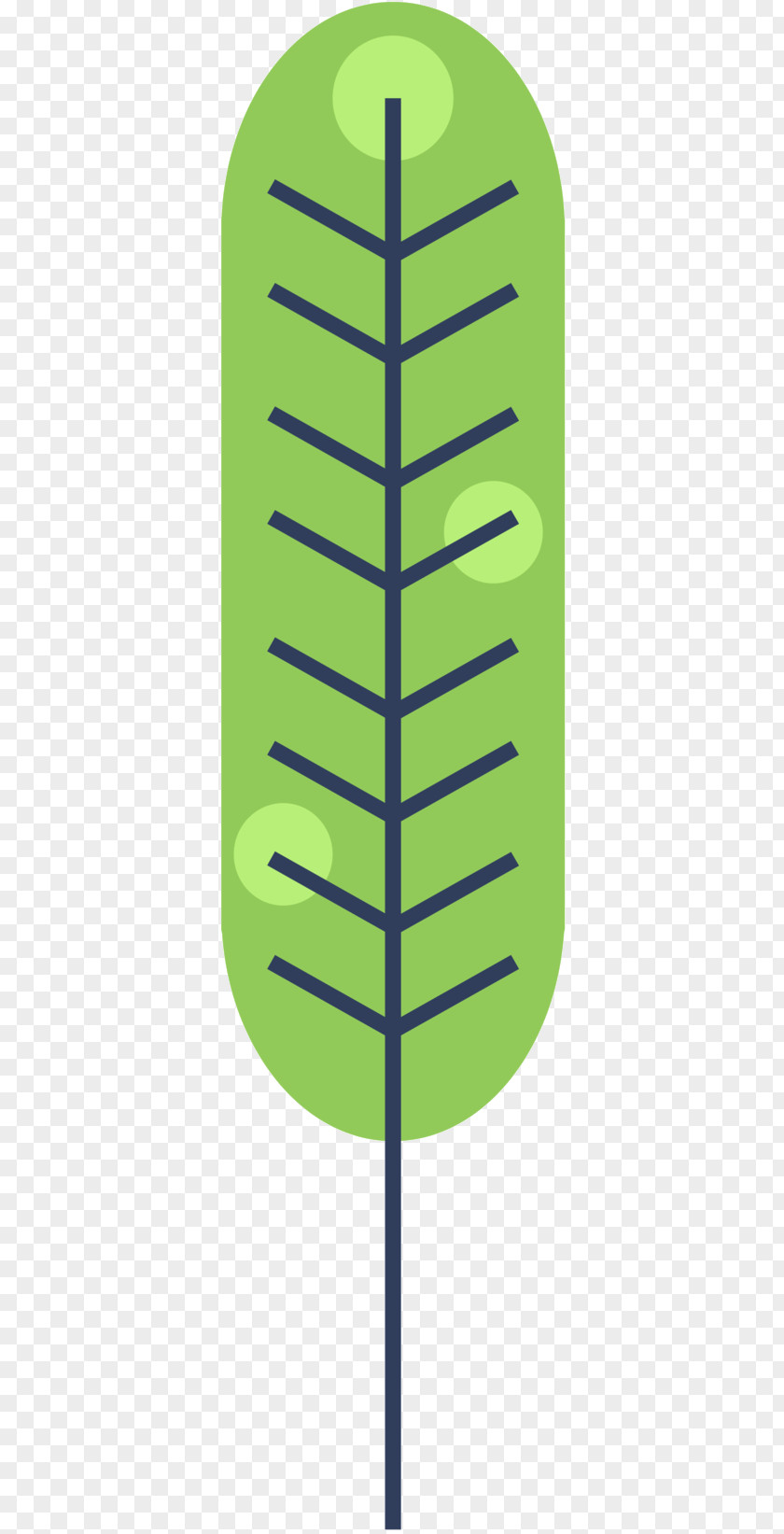 Line Leaf Angle Product Design PNG