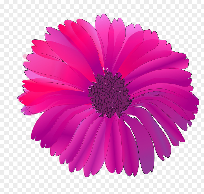 Pink Flower Images Flowers Purple Clip Art PNG