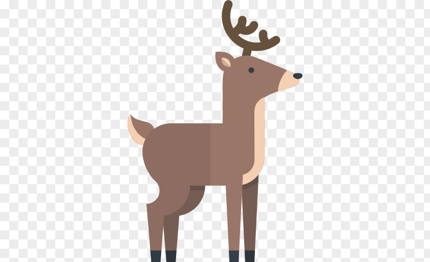 Reindeer Red Deer Sika PNG