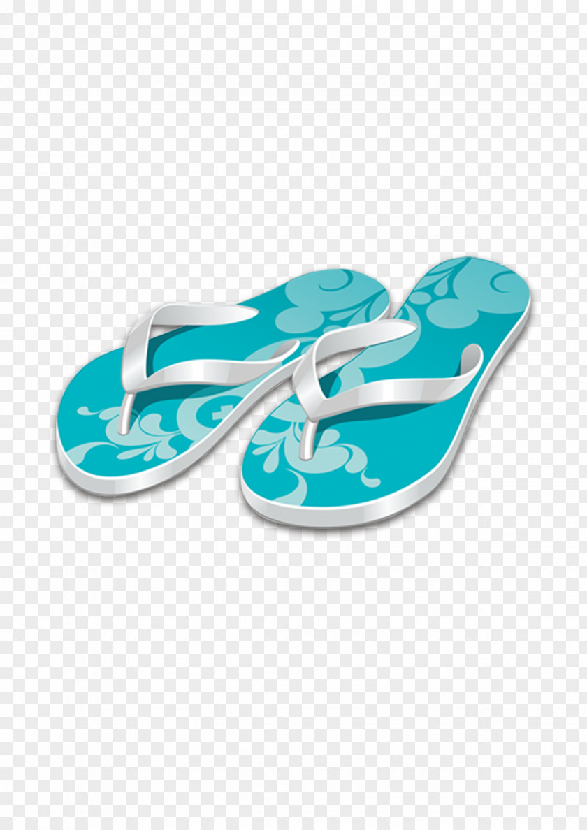 Shoes Slippers Sandals Flip-flops Slipper Shoe Sandal PNG