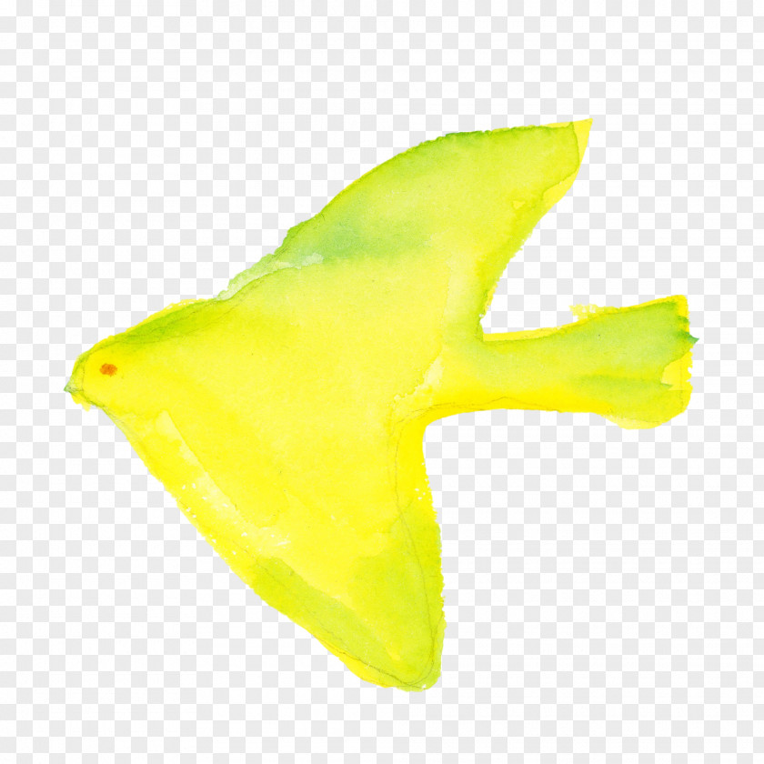 Yellow Green Plant PNG