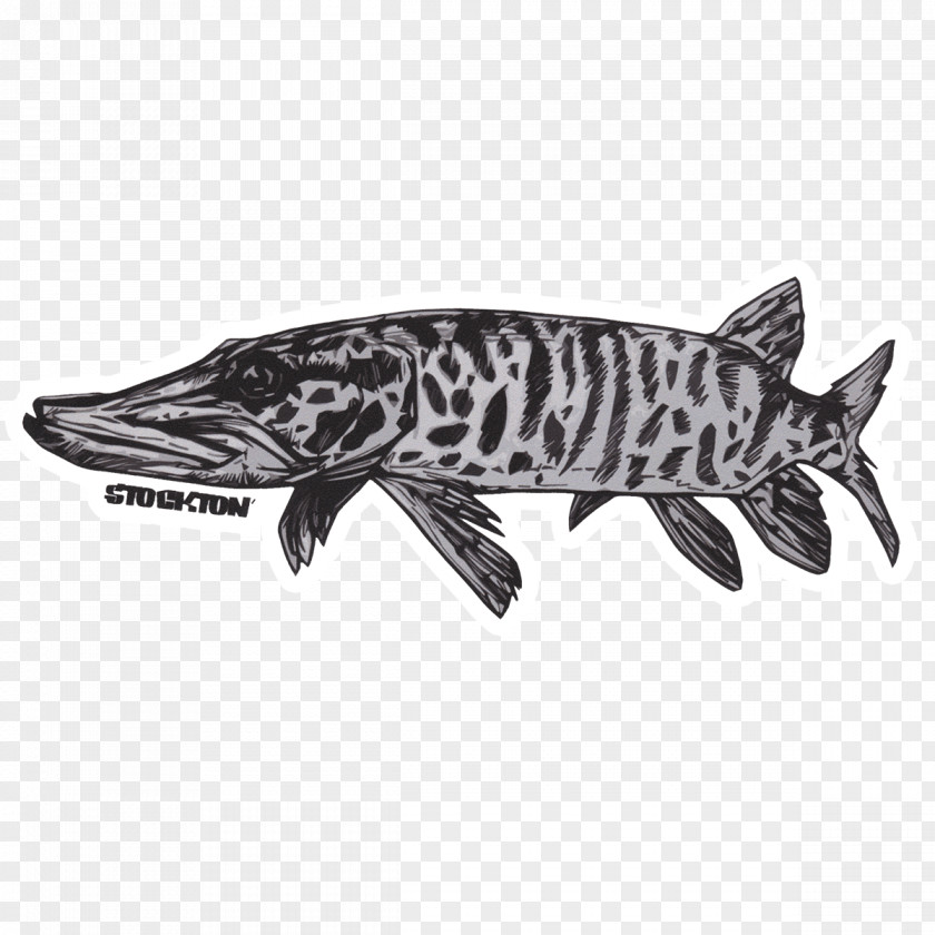 False Albacore Fish Fly Sticker Fishing Decal Muskellunge PNG