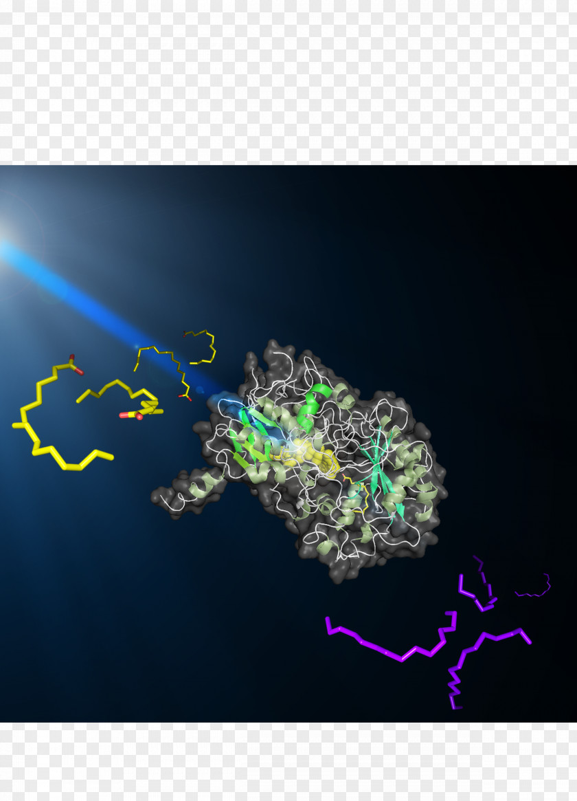 Light Microalgae Fatty Acid Photodecarboxylase PNG