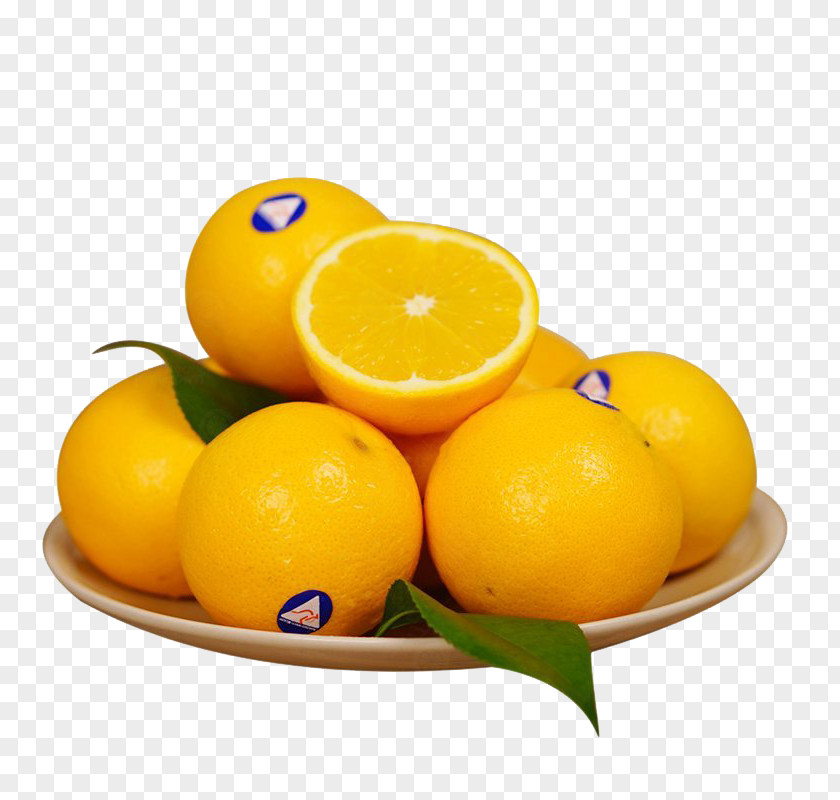 Australia Clementine Tangerine Meyer Lemon PNG