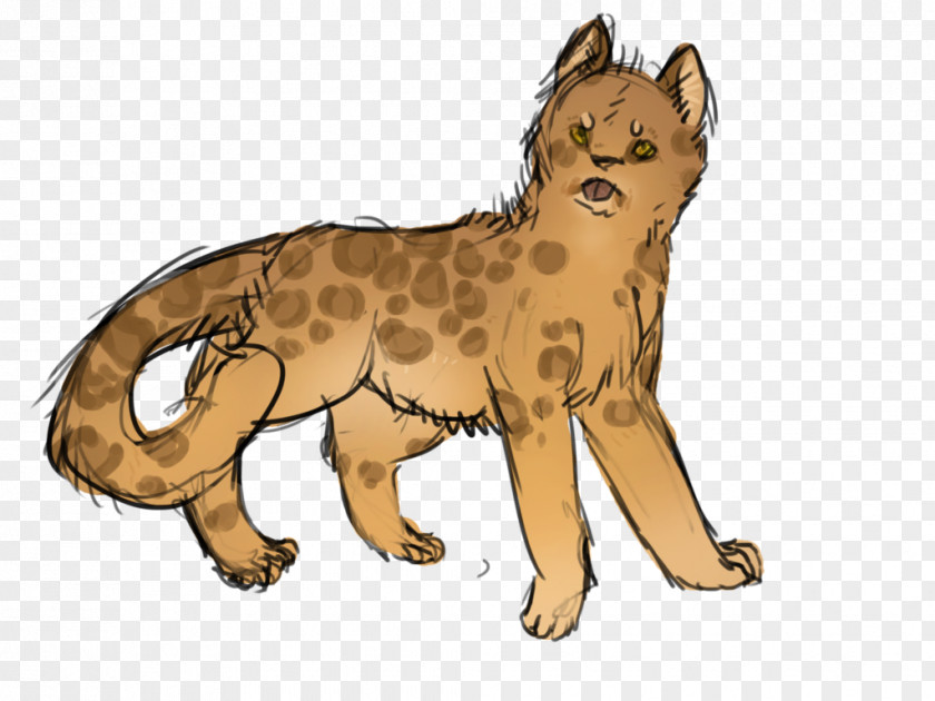 Cheetah Whiskers Cat Red Fox Dog PNG