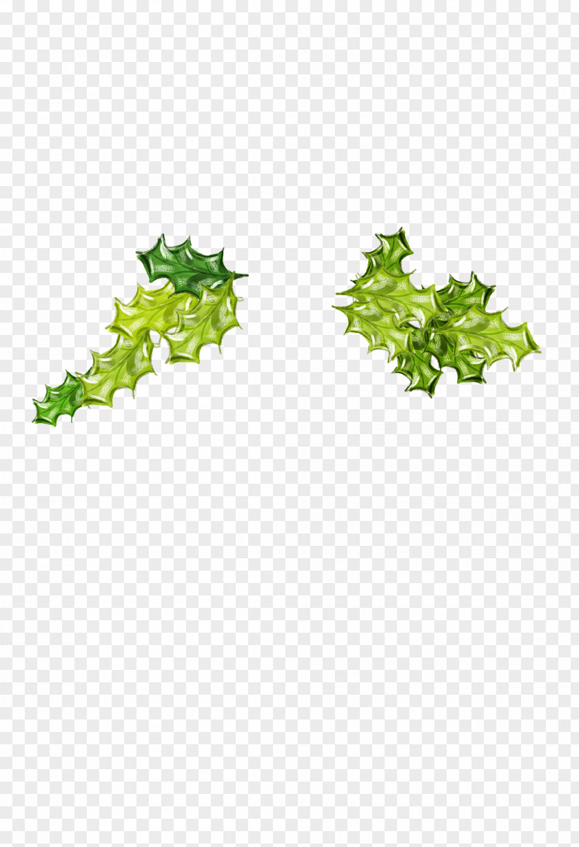 Creative Christmas Leaf Cartoon PNG