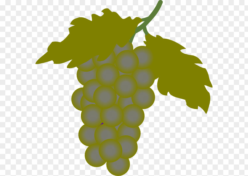 Grape Wine Common Vine Clip Art PNG