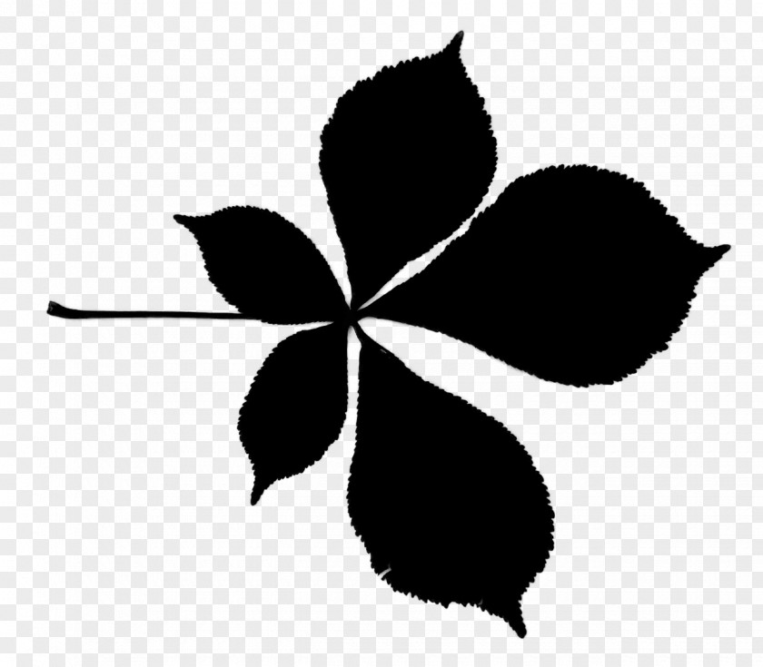 M Clip Art Flower Silhouette Leaf Black & White PNG
