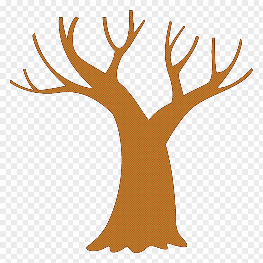 Plant Branch Tree PNG