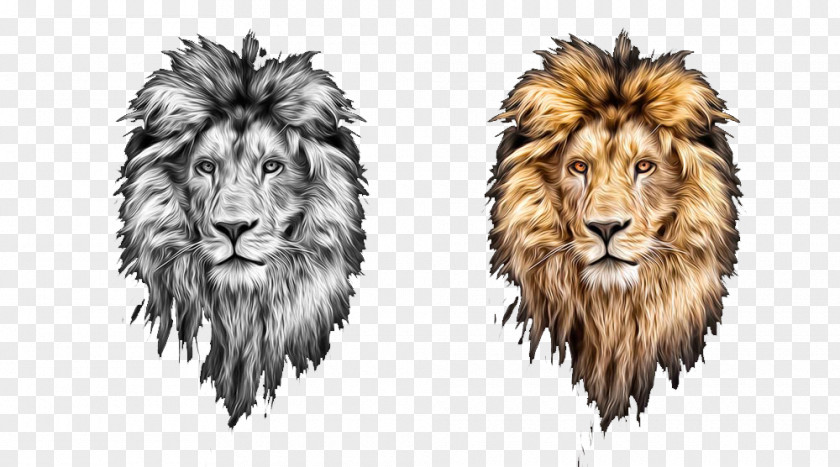 Two Hand-painted Lion Head Lions Lionhead Rabbit PNG