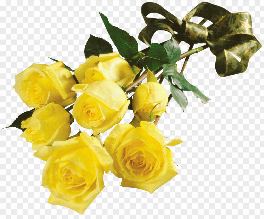 White Roses Garden Flower Bouquet Yellow Houseplant PNG