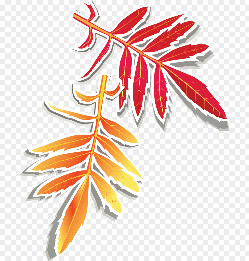Autumn Leaves Design Elements Golf Clip Art PNG