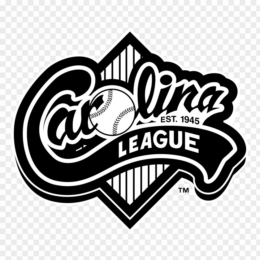 Baseball Carolina League Minor Logo Houston Astros PNG