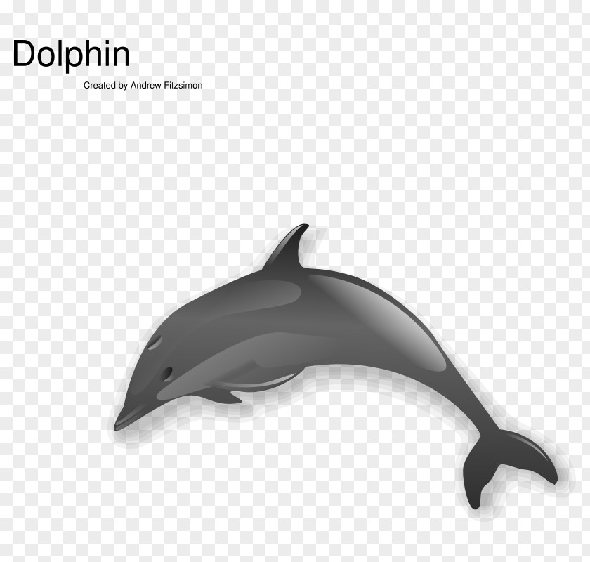 Black And White Dolphin Pictures Spinner Clip Art PNG