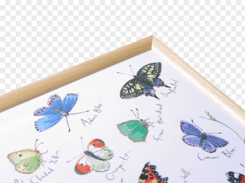 Butterfly Festival Paper Tray PNG