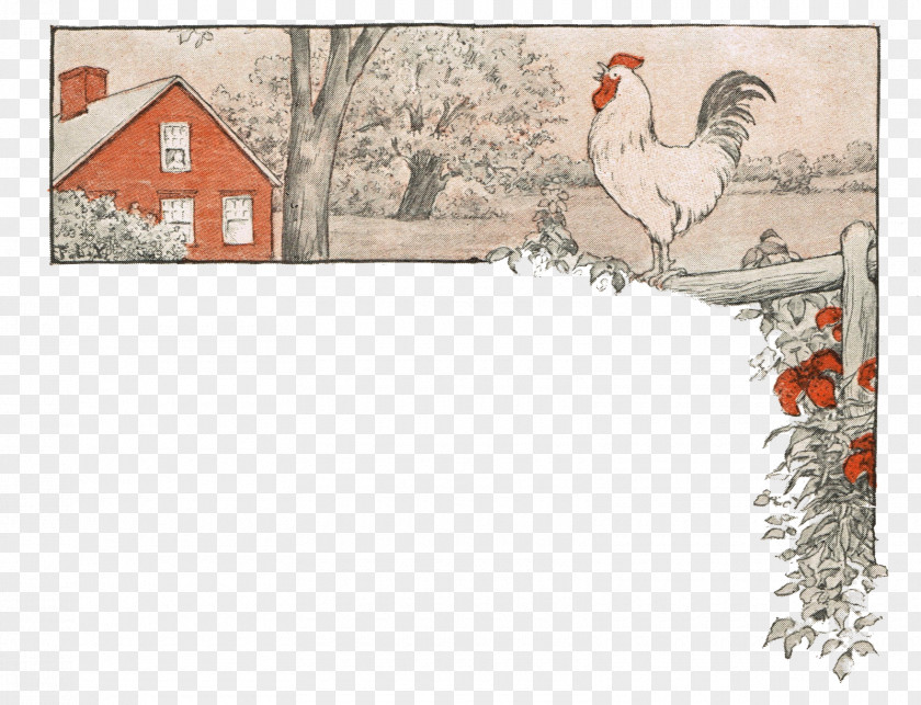 Chicken Rooster Bird Livestock Illustration PNG