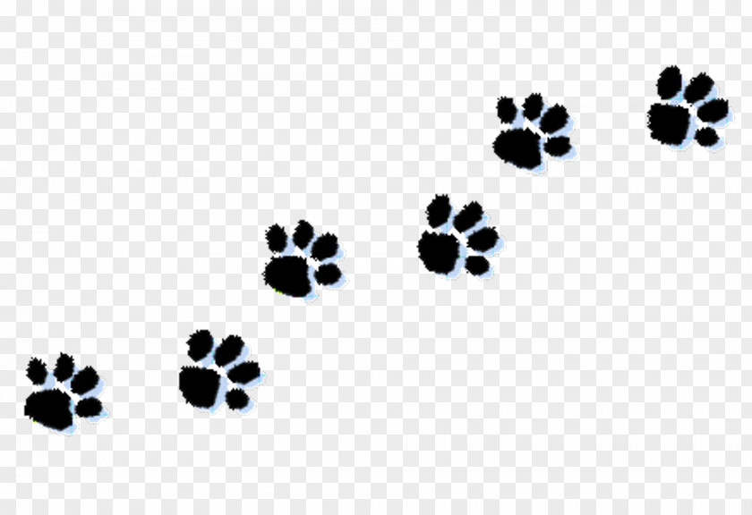 Home Clipart Dog Kitten Paw Clip Art PNG