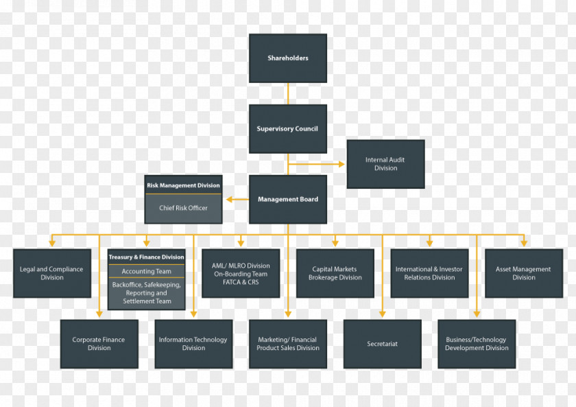 Organization Chart Organizational Structure Management Company PNG