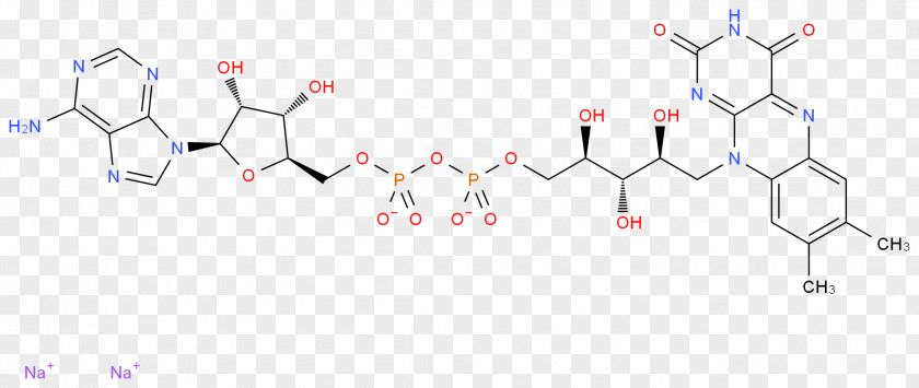 Riboflavin Molecule Molecular Geometry Flavin Group Benzo[g]pteridine PNG