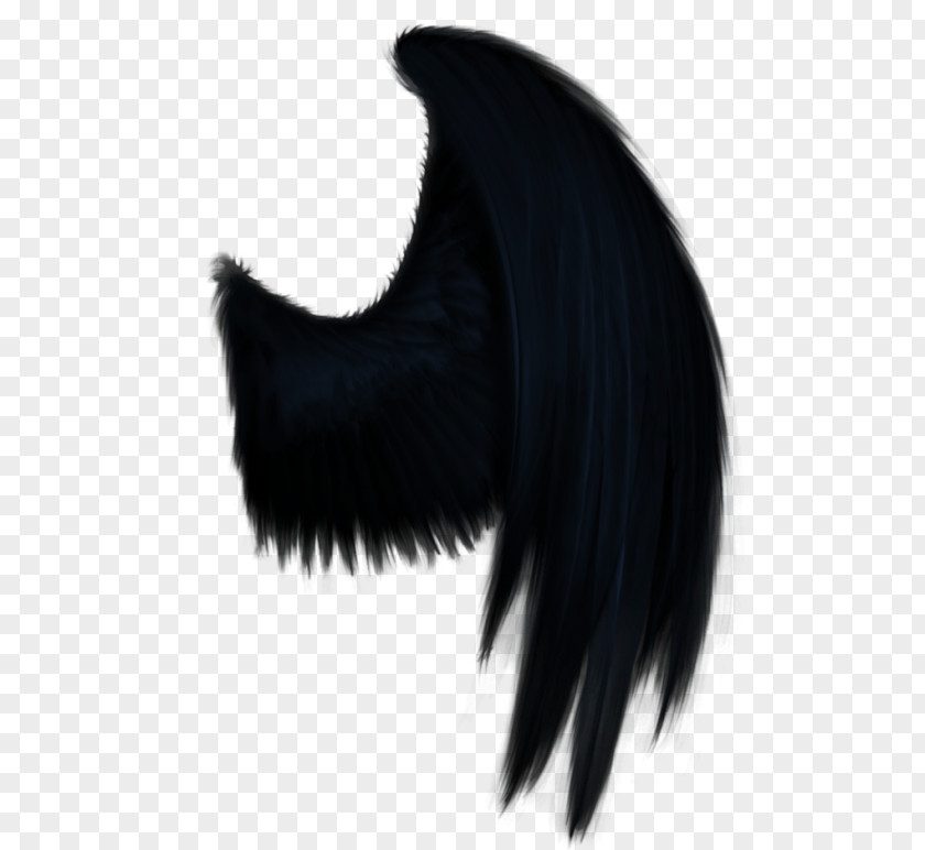 Wings Demon PNG