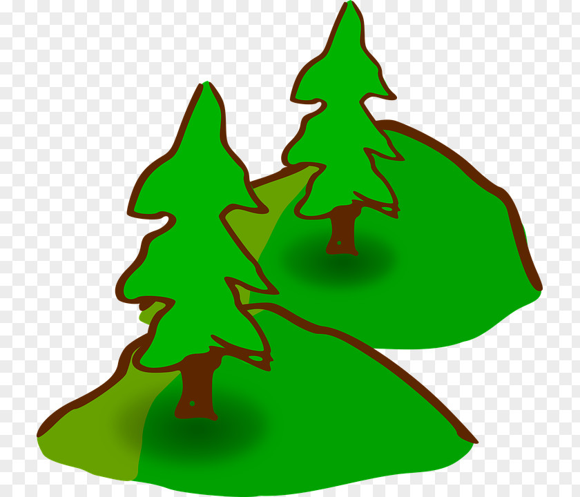 Evergreen Star Christmas Tree PNG
