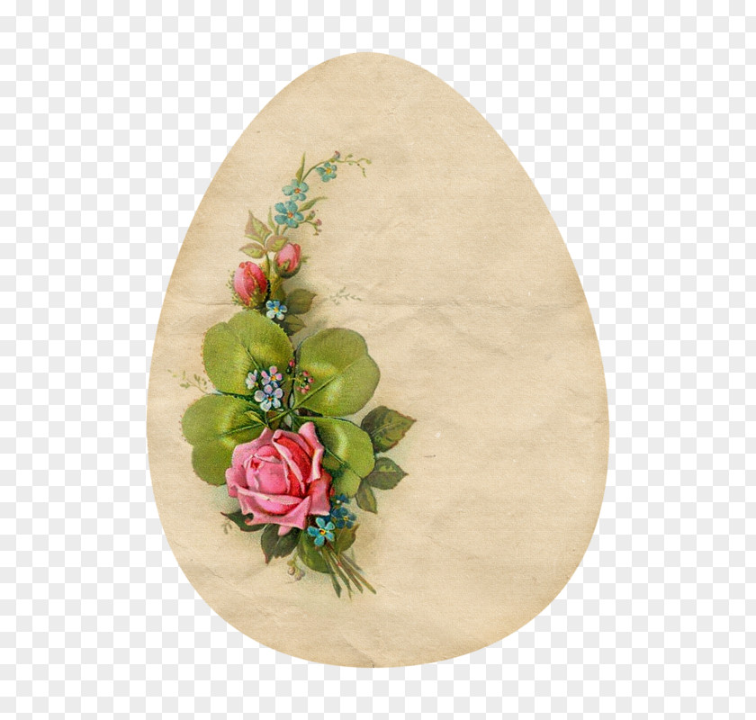 Flower Floral Design Oval M Cut Flowers PNG