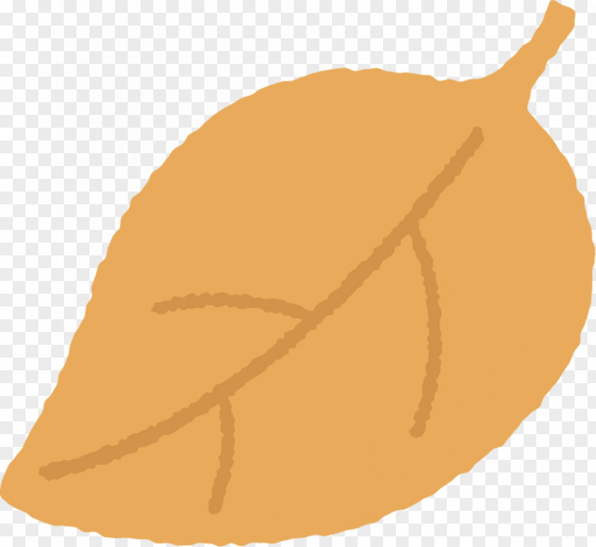 Fruit Food Leaf Tree Plant Pear PNG