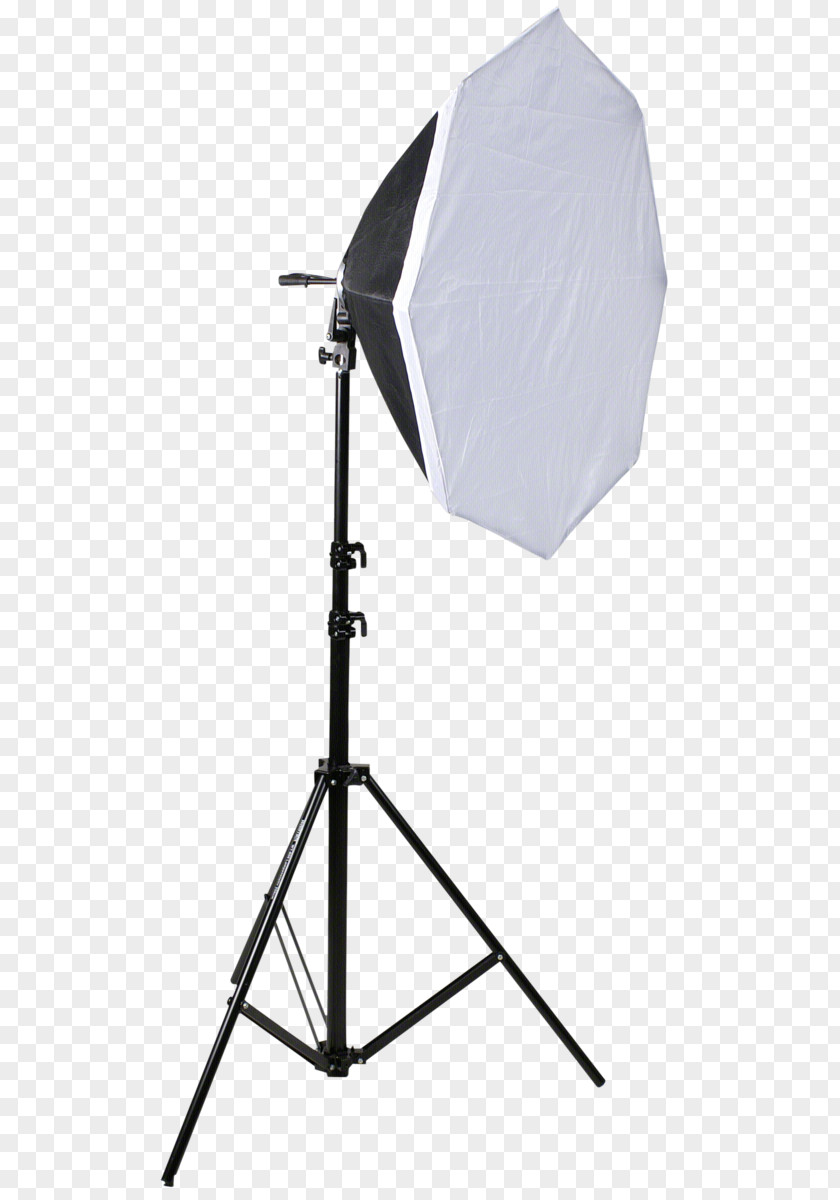 Light Incandescent Bulb Softbox Photography Fotolampe PNG