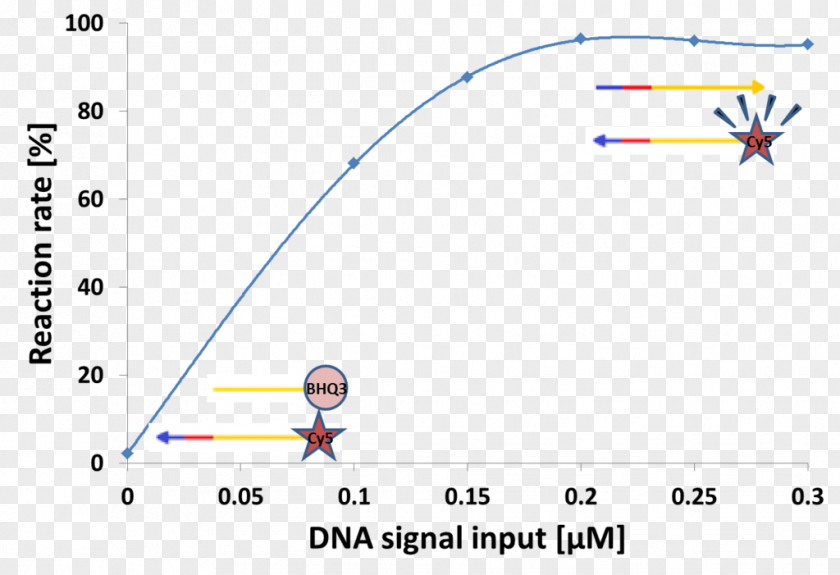 Line Point Angle Diagram PNG