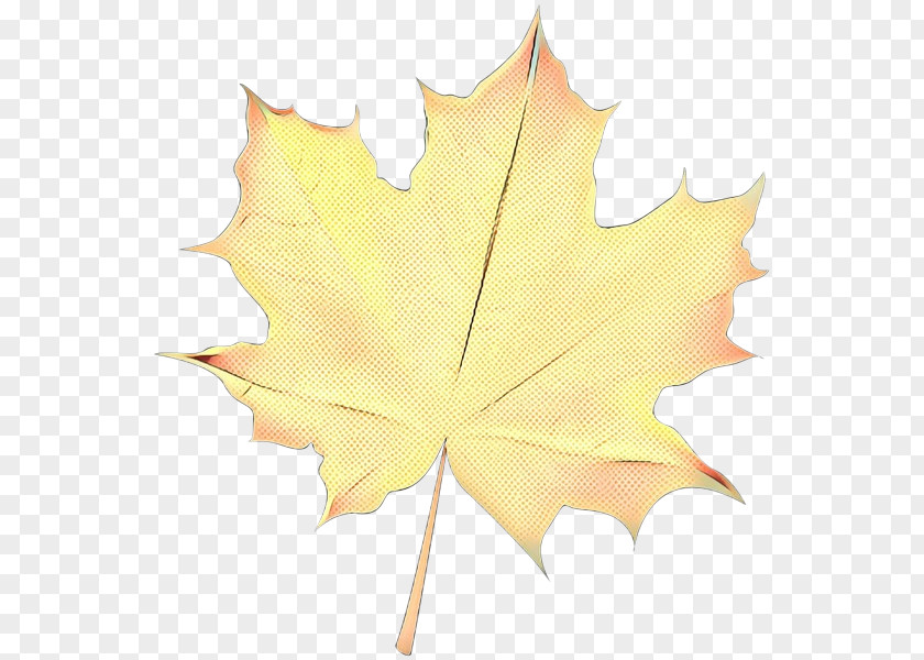 Maple Planetree Family Leaf PNG