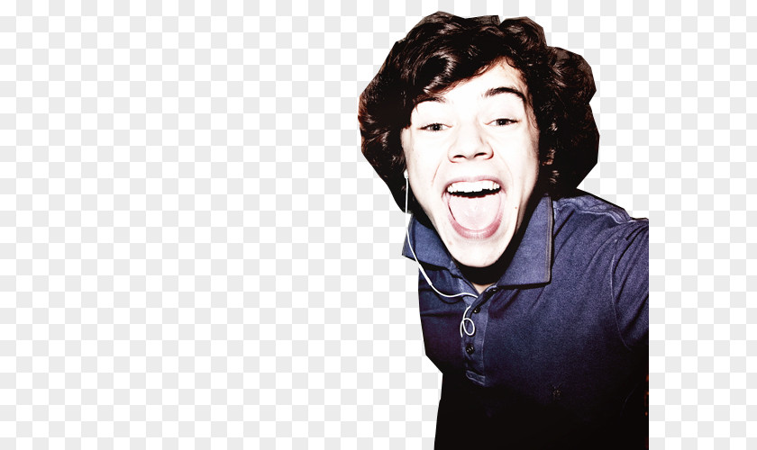 One Direction Harry Styles PNG