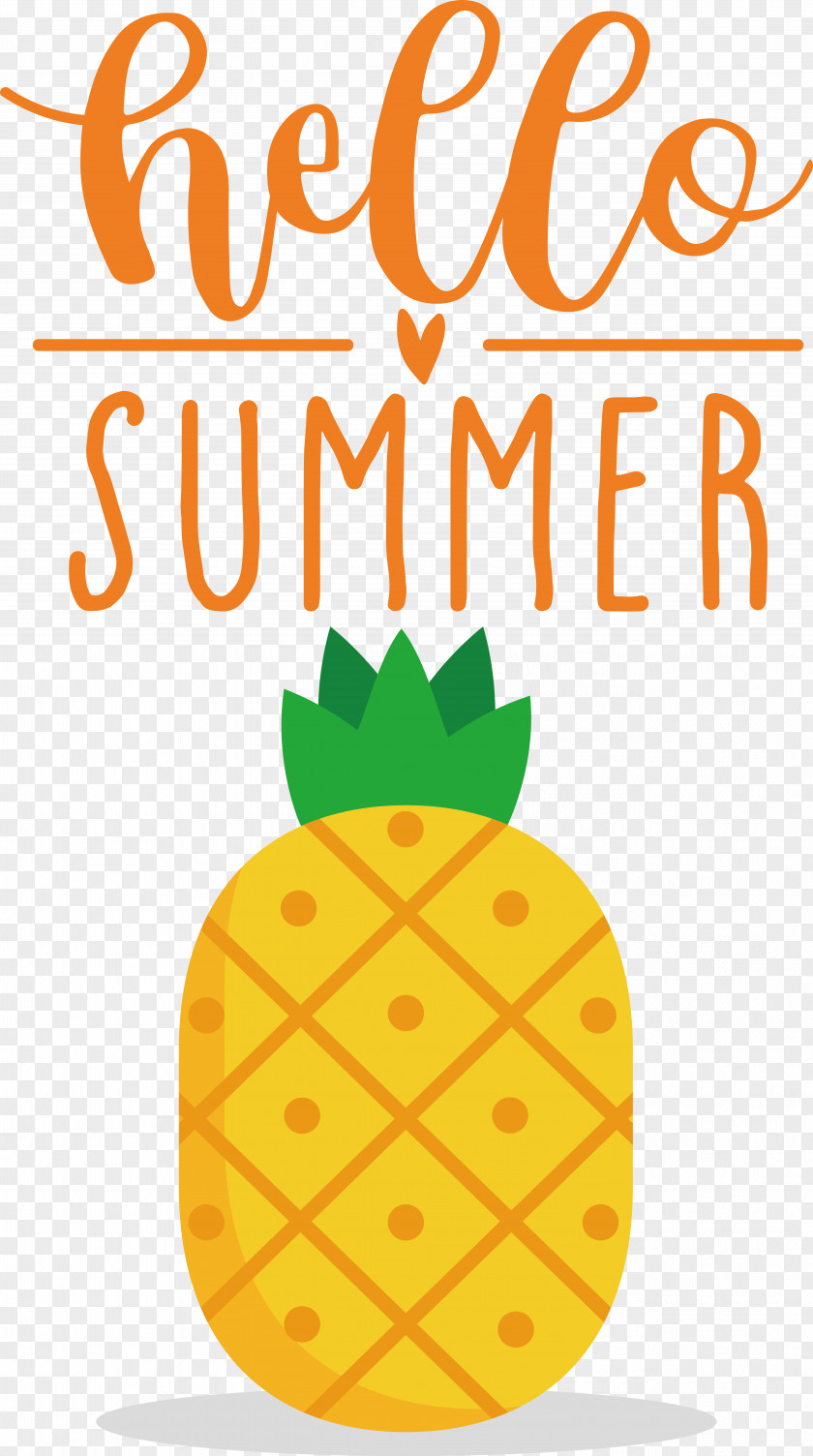 Summer Icon Caluya Design PNG