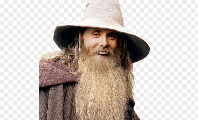 The Hobbit Peter Jackson Gandalf Lord Of Rings: Fellowship Ring Saruman PNG