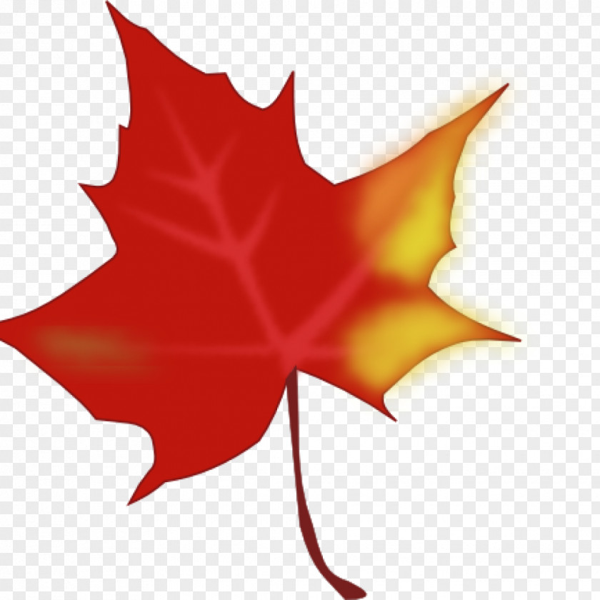 Autumn Clip Art Leaf Color Image PNG