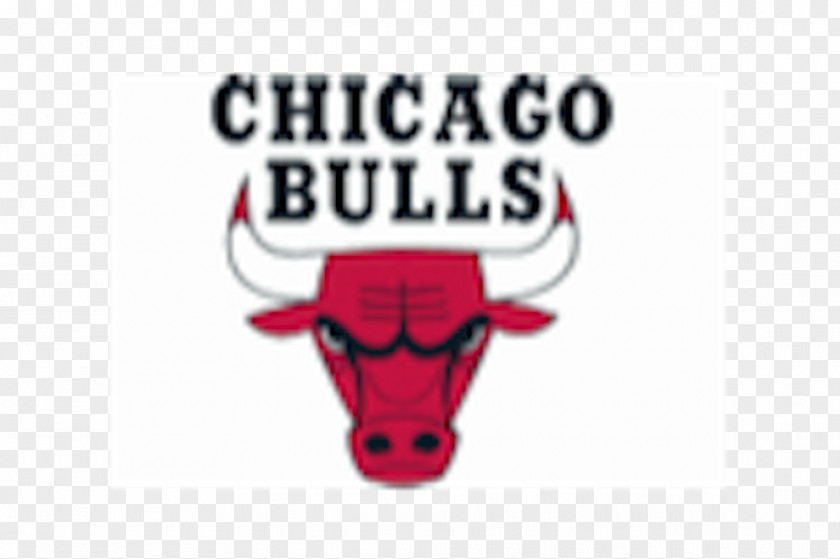 Nba Chicago Bulls Denver Nuggets NBA Basketball Sport PNG