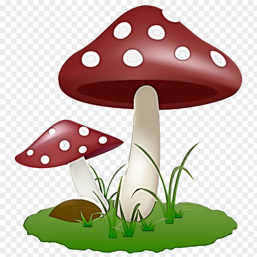 Plant Agaricomycetes Mushroom Agaric Fungus Agaricaceae PNG