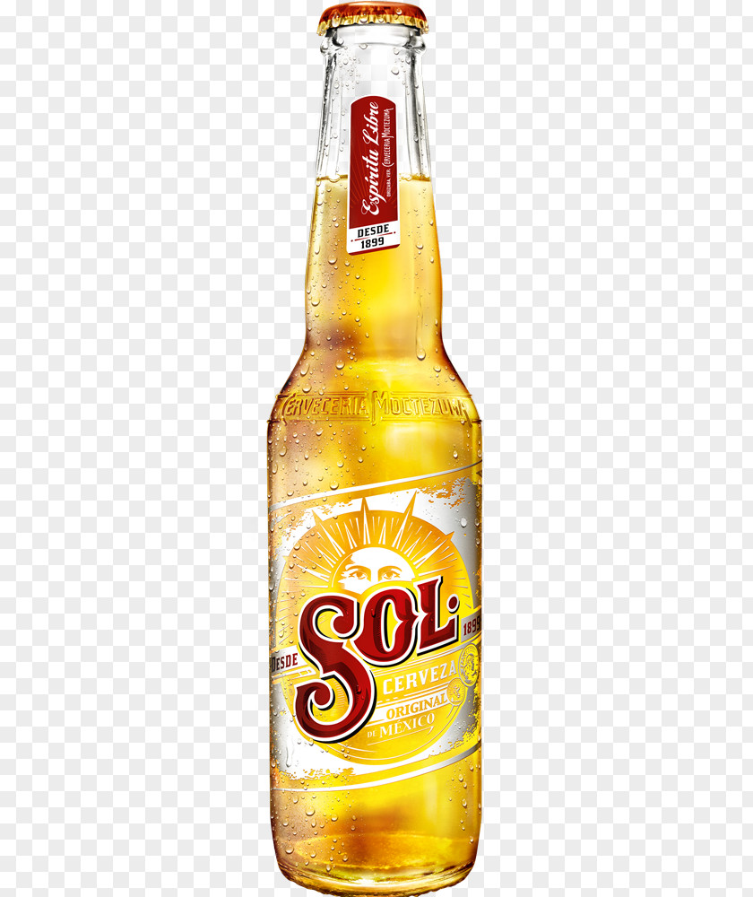 Calculadora Beer Lager Corona Molson Coors Brewing Company Pilsner PNG