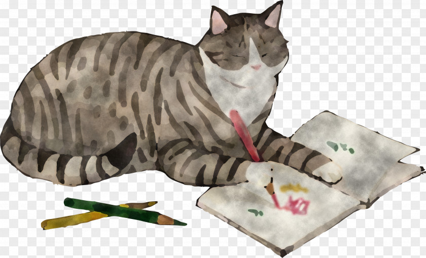 Cat Draw Book PNG