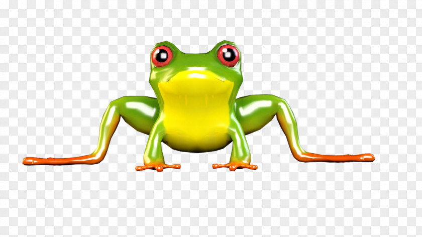 Frog True Tree Toad PNG