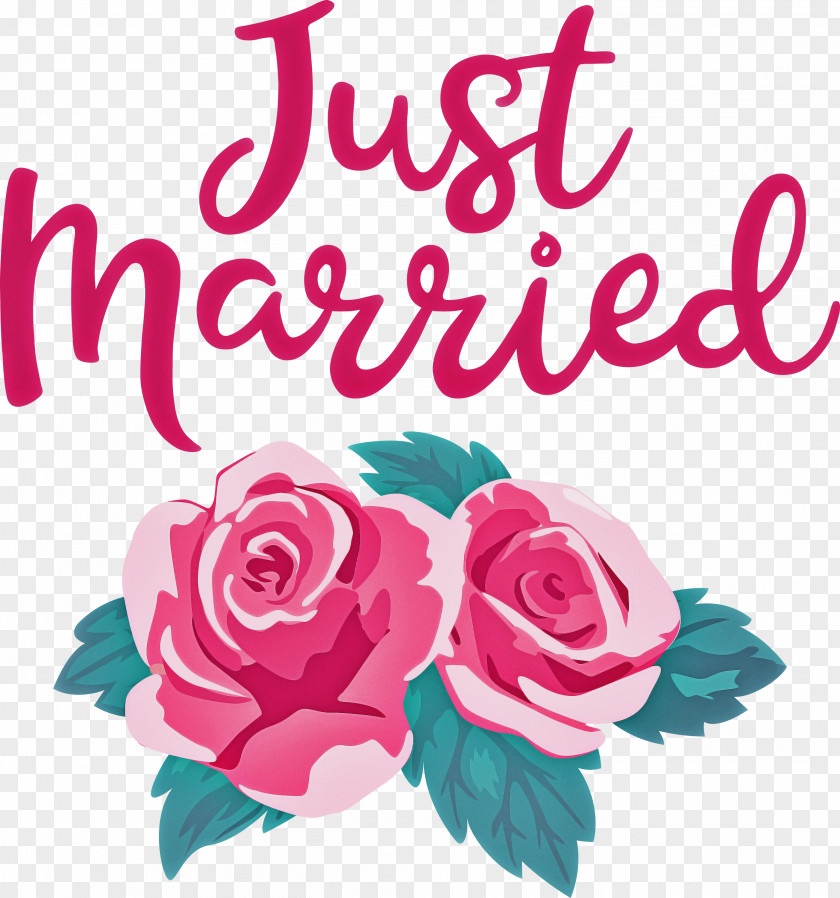 Just Married Wedding PNG