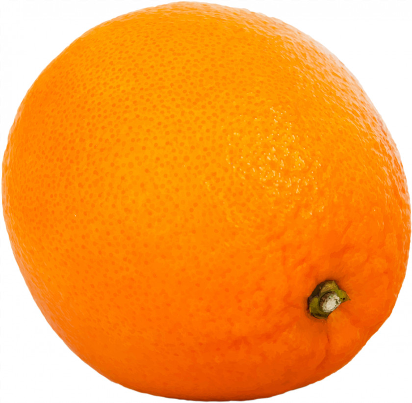 Orange Mandarin Tangerine Tangelo Clementine PNG