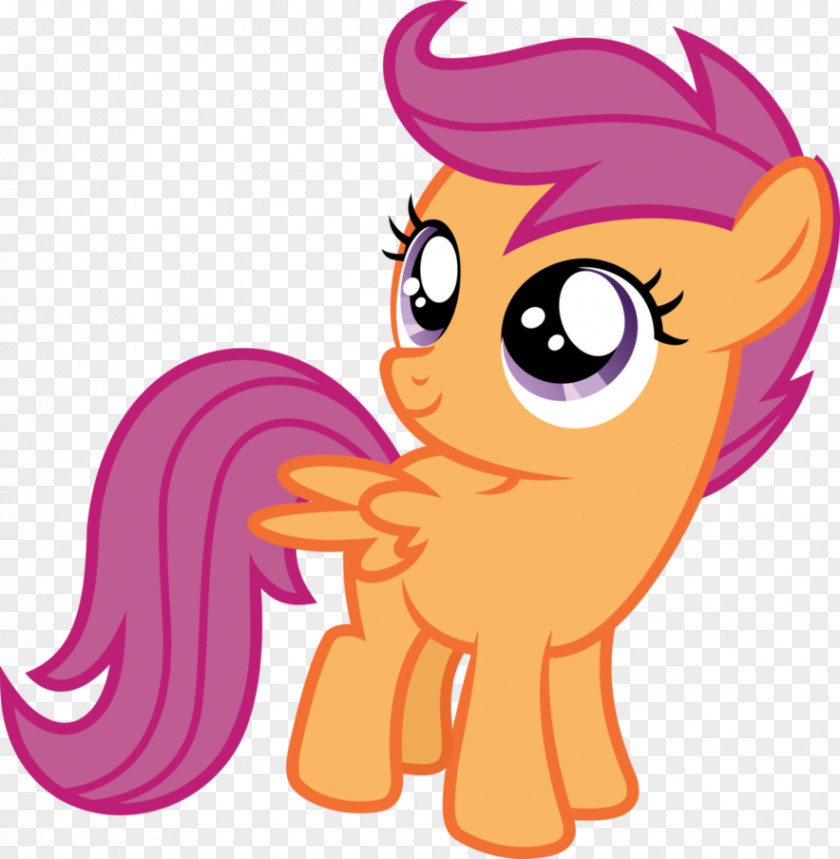 Wonderful Fantasy Scootaloo Rainbow Dash Pony PNG