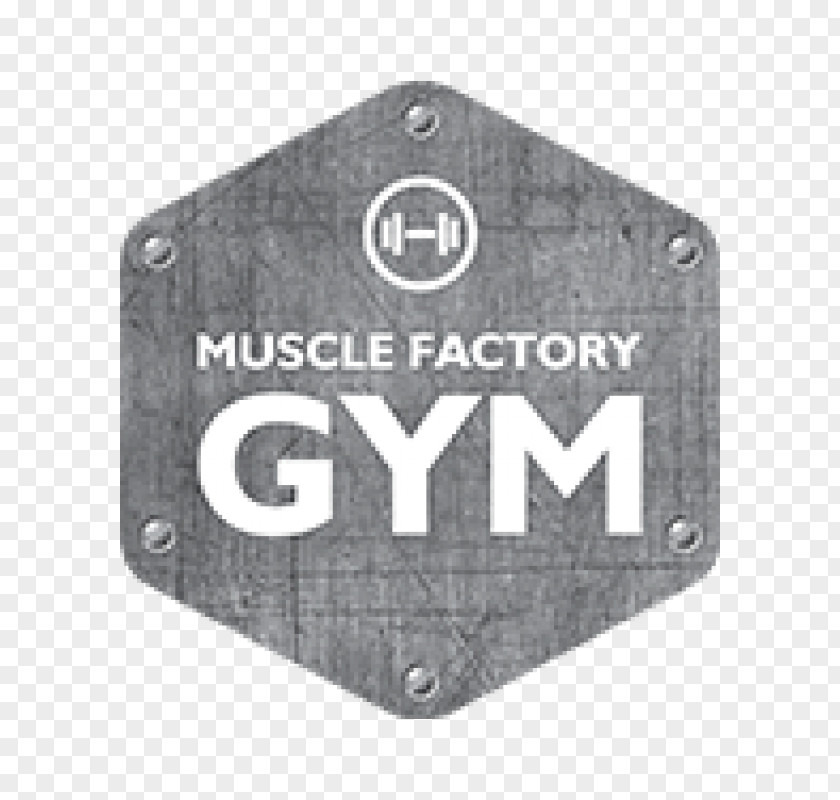 Bodybuilding Muscle Factory Gym Fitness Centre Weight Training Physical PNG