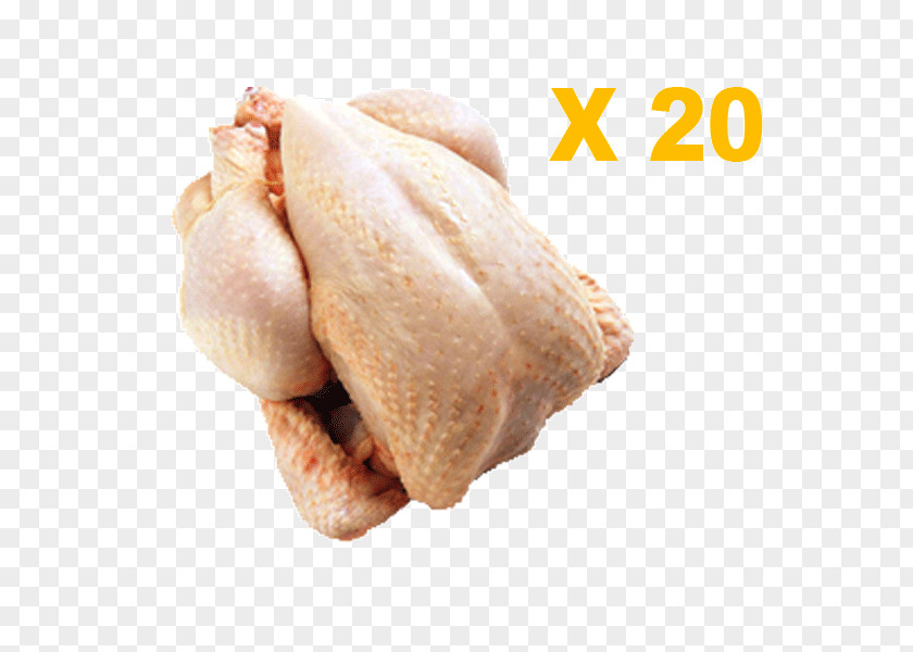 Chicken NIOKOBOK White Cut As Food Meat PNG